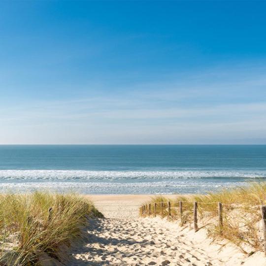 Seadream - Modern, Sunny With Big Terraces & Open View - Very Close To Sea, Beach, Shops, Restaurants & Beach Bars Nieuwpoort Eksteriør bilde